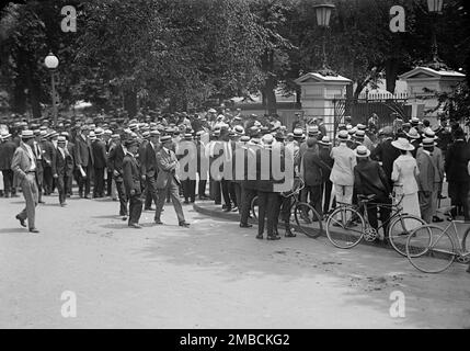 Femme au suffrage, 1917. Banque D'Images