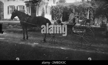 Tarbell, Ida, Miss, avec chien, dans un wagon tiré par des chevaux, 1912 ou 1913. Banque D'Images