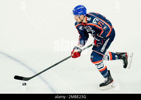 Mannheim, Allemagne. 20th janvier 2023. Hockey sur glace: DEL, Adler Mannheim - EHC Red Bull München, Hauptrunde, Matchday 44, SAP Arena. Borna Rendulic de Mannheim joue le palet. Credit: Uwe Anspach/dpa/Alamy Live News Banque D'Images