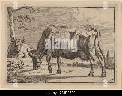 Vache à pâturage, 1650. Banque D'Images