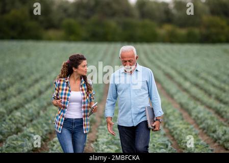 Homme d'affaires senior et jeune femme paysanne parlant dans la plantation de chou en été. Concept d'assurance ou d'assurance Banque D'Images