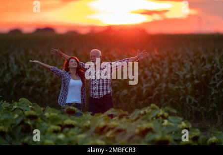 Un père et une fille heureux agriculteurs qui élèvent les armes et rient pour réussir dans l'agriculture sur le champ de tournesol au coucher du soleil Banque D'Images