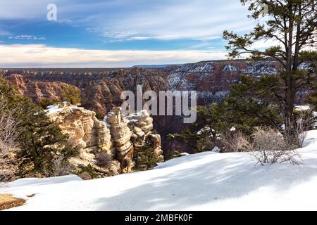 Vue sur le Grand Canyon après la récente tempête de neige. Neige blanche fraîche superposée en premier plan ; Hoodoos et paroi du canyon ont dépoussiéré le blanc en arrière-plan. Banque D'Images