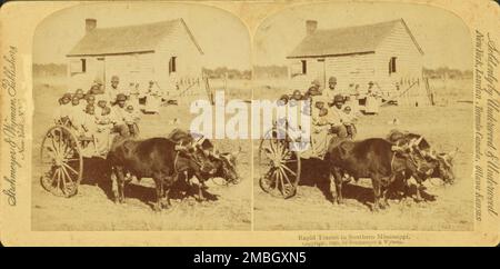 Transit rapide dans le sud du Mississippi, [grand groupe d'enfants sur un boeufs], (1868-1900?). Banque D'Images