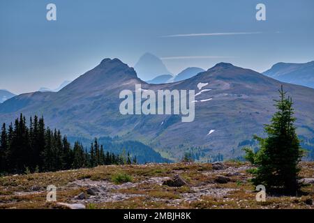 Élevé dans les alpins de Sunshine Meadows près de Banff, le mont Assiniboine de la Colombie-Britannique s'élève à la distance de la brume au-dessus des sommets sans arbres. Banque D'Images