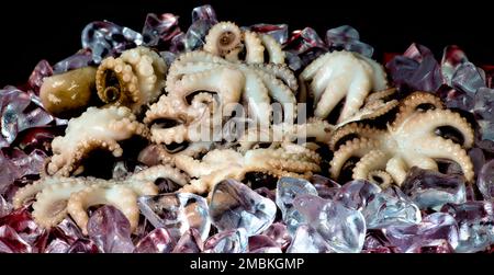 Poulpe de bébé d'Asie du Sud-est prête à manger sur la glace. Banque D'Images