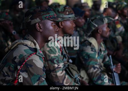 Les membres de la Force maritime de Malawian apprennent les techniques de natation appropriées avec des palmes sim sur par un américain Équipe du détachement opérationnel Alpha (ODA) pendant une formation conjointe en échange combiné (JCET) à Monkey Bay, Malawi, 16 juin 2022. JCETS améliore les relations des États-Unis avec les pays partenaires en développant et en maintenant des connexions militaires essentielles et en améliorant la préparation et l'interopérabilité conjointes et alliées. Banque D'Images