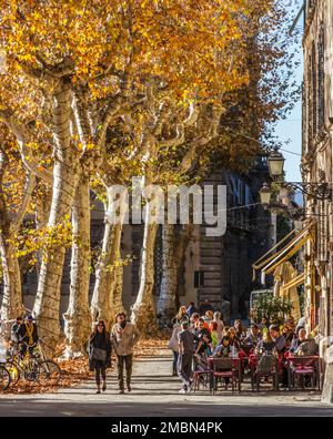 Cafe culture pendant un après-midi automnal à Piazza Napoleone, Lucca, Toscane, Italie. Banque D'Images