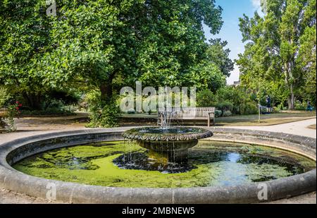 fontaine du jardin botanique de l'Université d'Oxford, le plus ancien jardin botanique de Grande-Bretagne et l'un des plus anciens jardins scientifiques du monde, Oxf Banque D'Images