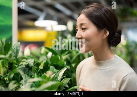 Jeune femme de choisir de petites plantes en pot Banque D'Images