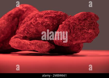 Plâtre moulé d'un corps, trouvé dans l'ancienne ville de Pompéi, exposé et illuminé avec des lampes rouges dans un musée Banque D'Images