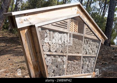 grand insecte hôtel cabane en bois de la maison d'insectes donne la protection et l'aide de nid aux abeilles et les insectes dans la grande cabine Banque D'Images