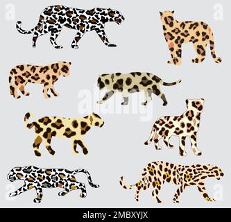 Ensemble d'icônes Leopard à motifs Illustration de Vecteur