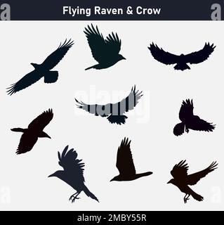 Jeu d'icônes oiseaux de corbeau volant Illustration de Vecteur