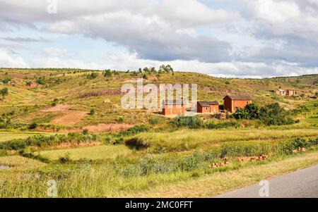 Paysage typique de Madagascar - rizières en terrasse vertes et jaunes sur de petites collines avec des maisons en argile dans la région près de Behenjy Banque D'Images