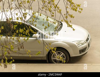 2010 Ford Focus-2 voiture neuve garée sur le trottoir de la rue de la ville sous les branches d'arbres Banque D'Images