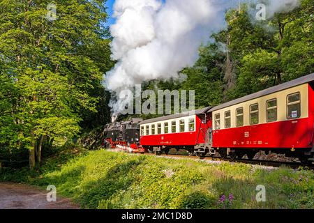 Selketalbahn dans les montagnes Harz Banque D'Images