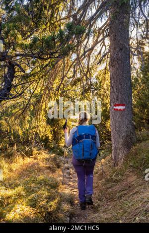 Sentier de randonnée à travers la forêt, marqueur de randonnée, randonneur sur le chemin de Guffert, Alpes de Brandenberg, Tyrol, Autriche Banque D'Images