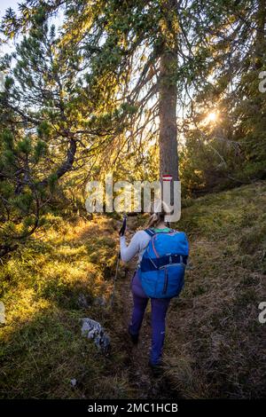 Sentier de randonnée à travers la forêt, marqueur de randonnée, randonneur sur le chemin de Guffert, Alpes de Brandenberg, Tyrol, Autriche Banque D'Images