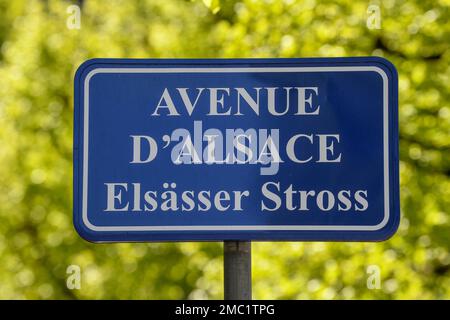 Panneau sur l'avenue dAlsace en français et alsacien, Strasbourg, département du Bas-Rhin, Alsace, France Banque D'Images