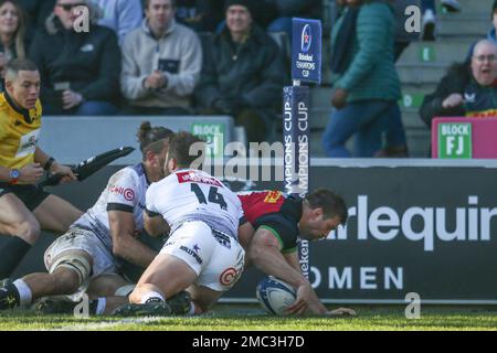 Stephan Lewies, de Harlequins, a fait un essai lors du match de la Heineken Champions Cup à Twickenham Stoop, Londres. Date de la photo: Samedi 21 janvier 2023. Banque D'Images