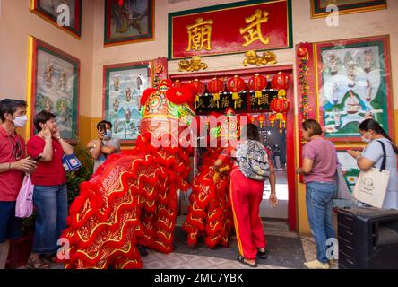 Thaïlande. 21st janvier 2023. Les danseurs dansent les Lions pendant le nouvel an lunaire chinois au sanctuaire Guan Yu Bo BIA, Chiang Mai, Thaïlande. La célébration du nouvel an lunaire chinois. Après deux ans sous des restrictions strictes de Covid, finit par célébrer le nouvel an lunaire chinois 2023. La nouvelle année lunaire chinoise, ou Festival de printemps, tombe le 22 janvier 2023 et annonce le début de l'« année du lapin ». Crédit : SOPA Images Limited/Alamy Live News Banque D'Images