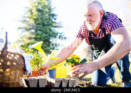 un homme caucasien plus âgé avec une barbe et des cheveux gris dans son jardin un jour ensoleillé Banque D'Images