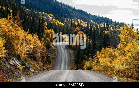 La route menant à Atlin, en Colombie-Britannique, dans le nord du Canada, avec des peupliers et des Aspen dorés au début de l'automne. Route étroite en gravier le long du lac Atlin. Banque D'Images