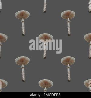 motif sans couture. Champignon aquarelle réaliste. Magnifique champignon. Champignons blancs Banque D'Images