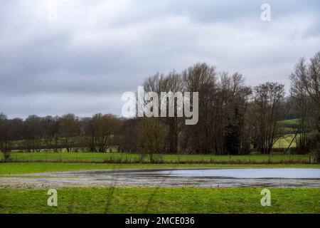 Champ inondé par une journée d'hiver à Wealden, dans l'est du Sussex, en Angleterre Banque D'Images