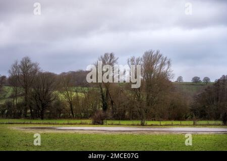 Champ inondé par une journée d'hiver à Wealden, dans l'est du Sussex, en Angleterre Banque D'Images