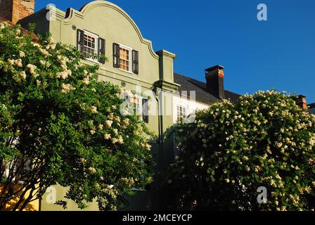 Row Houses sur le front de mer de Charleston en Caroline du Sud Banque D'Images