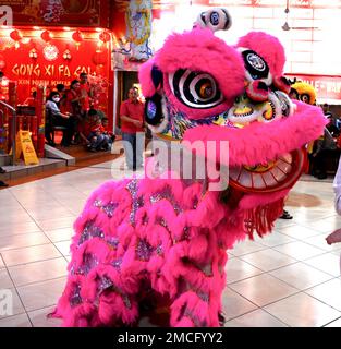 Jakarta, Indonésie. 21st janvier 2023. Un danseur de lion participe à un événement célébrant le nouvel an chinois au temple de Kwan à Tang à Pondok Cabe, dans le sud de Tangerang, en Indonésie, le 21 janvier 2023. Credit: Agung Kuncahya B./Xinhua/Alay Live News Banque D'Images