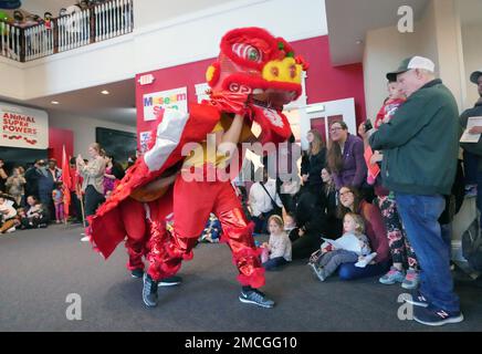 Kirkwood, États-Unis. 21st janvier 2023. Les dragons divertissent la foule à la Maison magique alors que l'établissement célèbre la série de programmes culturels Passeport pour le monde, qui accueille une célébration du nouvel an chinois à Kirkwood, Missouri, sur 21 janvier 2023. En Chine, 2023 est l'année du lapin, qui symbolise la chance, la miséricorde, l'élégance et la beauté. L'événement de la Maison magique a présenté l'art et la danse pour inviter bonne chance dans la nouvelle année. Photo par Bill Greenblatt/UPI crédit: UPI/Alay Live News Banque D'Images