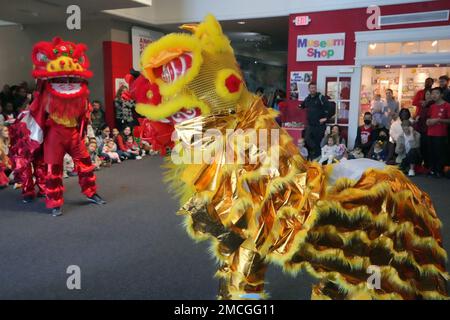 Kirkwood, États-Unis. 21st janvier 2023. Les dragons divertissent la foule à la Maison magique alors que l'établissement célèbre la série de programmes culturels Passeport pour le monde, qui accueille une célébration du nouvel an chinois à Kirkwood, Missouri, sur 21 janvier 2023. En Chine, 2023 est l'année du lapin, qui symbolise la chance, la miséricorde, l'élégance et la beauté. L'événement de la Maison magique a présenté l'art et la danse pour inviter bonne chance dans la nouvelle année. Photo par Bill Greenblatt/UPI crédit: UPI/Alay Live News Banque D'Images