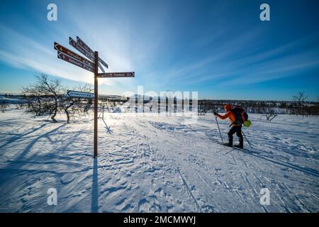 Ski de randonnée près de Hannukuru, Muonio, Laponie, Finlande Banque D'Images