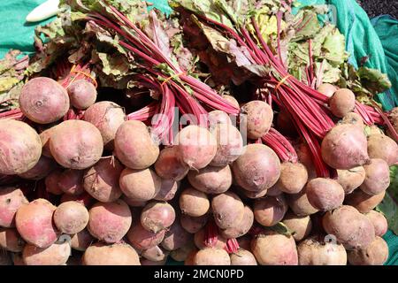 Beetroot frais avec tige et feuilles vertes disposés sur le marché des légumes conservés à la vente Banque D'Images