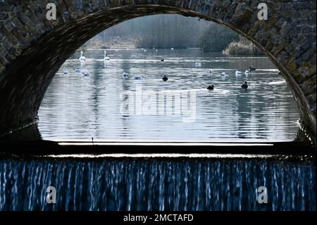 Pont Five Arches, Foots Cray Meadows, Sidcup, Kent. ROYAUME-UNI Banque D'Images