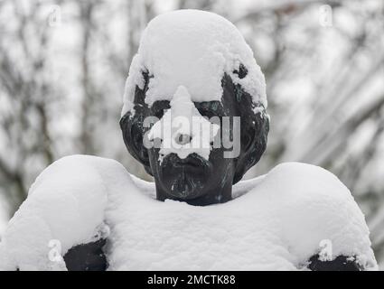 22 janvier 2023, Bavière, Munich : un buste enneigé du roi Ludwig II se dresse dans le Maximiliansanlagen. La neige a transformé le vaste parc en paysage hivernal. Photo: Peter Kneffel/dpa Banque D'Images