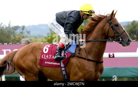 Qatar Goodwood Festival Meeting 26th juillet 2022 à Goodwood Racecourse, Chichester - première journée - Jockey Andrea Atzeni sur Stradivarius avant les piquets de la coupe Al Shaqab Goodwood Banque D'Images