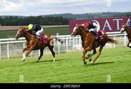 Qatar Goodwood Festival Meeting 26th juillet 2022 à Goodwood Racecourse, Chichester - première journée - Al Shaqab Goodwood Cup Stakes - Kyprios bat Stradivarius à la ligne d'arrivée Banque D'Images