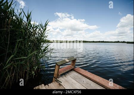 Grand lac à l'horizon avec arbres et roseaux, eau bleu profond dans le lac. Banque D'Images