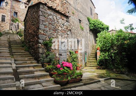 Jardin de cour avec marches en pierre, village de montagne Roccatederighi, Toscane Italie, Banque D'Images