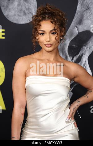 LOS ANGELES, CA - JANVIER 21: DaniLeigh à la première mondiale de la peur à la Guilde des directeurs d'Amérique à Los Angeles, Californie sur 21 janvier 2023. Crédit : Walik Goshorn/MediaPunch Banque D'Images