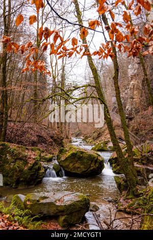 Rivière sure le long de Schiessentumpel dans les couleurs d'automne à Mullerthal près d'Echternach à pâques Luxembourg, Banque D'Images