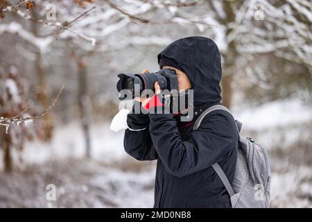 Femme avec appareil photo professionnel prenant une photo en forêt d'hiver, Allemagne Banque D'Images