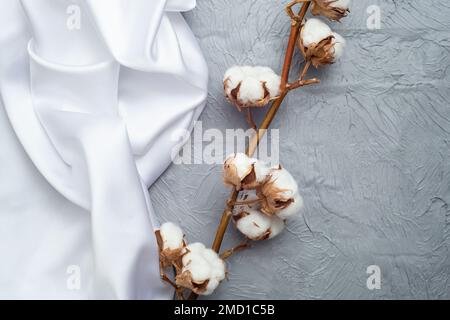 Fleurs de plantes en coton véritable avec tissu satiné blanc sur fond de ciment gris, mise au point douce gros plan Banque D'Images