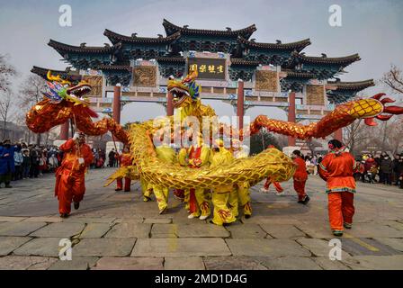 Fuyang, Chine. 22nd janvier 2023. Les interprètes se produisent lors d'une danse traditionnelle chinoise à Fuyang, qui est une célébration commune pour le nouvel an lunaire chinois. Crédit : SOPA Images Limited/Alamy Live News Banque D'Images