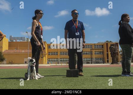 Les éducateurs du District des Marines de 12th se préparent à mener l'ammo peut lever le test de condition physique de combat lors d'un atelier des éducateurs au dépôt de recrutement des Marines de San Diego, 12 juillet 2022. Le programme de l'atelier des éducateurs offre aux éducateurs, aux entraîneurs, aux directeurs et aux membres influents de la communauté une occasion expérientielle de voir comment le corps des Marines transforme les jeunes hommes et les jeunes femmes en Marines. Le programme est conçu pour démystifier la formation des recrues et des candidats aux postes d'agent, favoriser des relations plus solides entre le personnel de recrutement et les communautés qu'ils servent et accroître l'advoc Banque D'Images