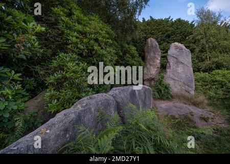 Les bridestones néolithiques, près de Congleton, Cheshire, Angleterre, Royaume-Uni Banque D'Images